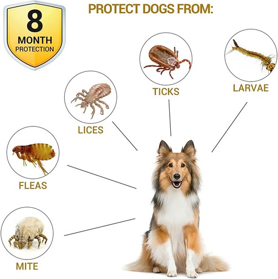 flea repellent dog collar flea repellent dog collar