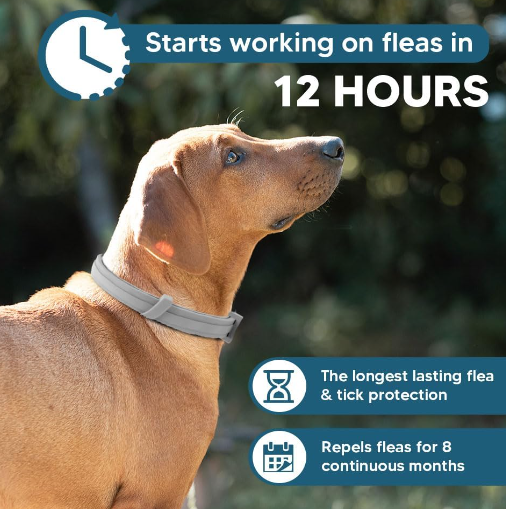 product-506-509 product-506-509