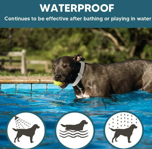 product-512-503 product-512-503