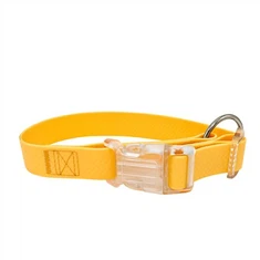 어두운 애완 동물 고리에 빛나는