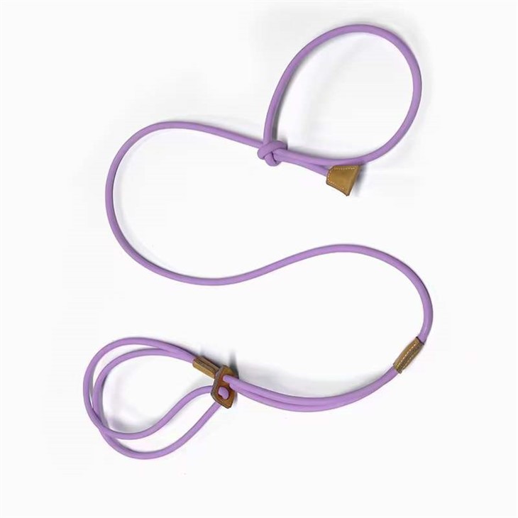 올인-인-나일론 개 가죽끈 1개